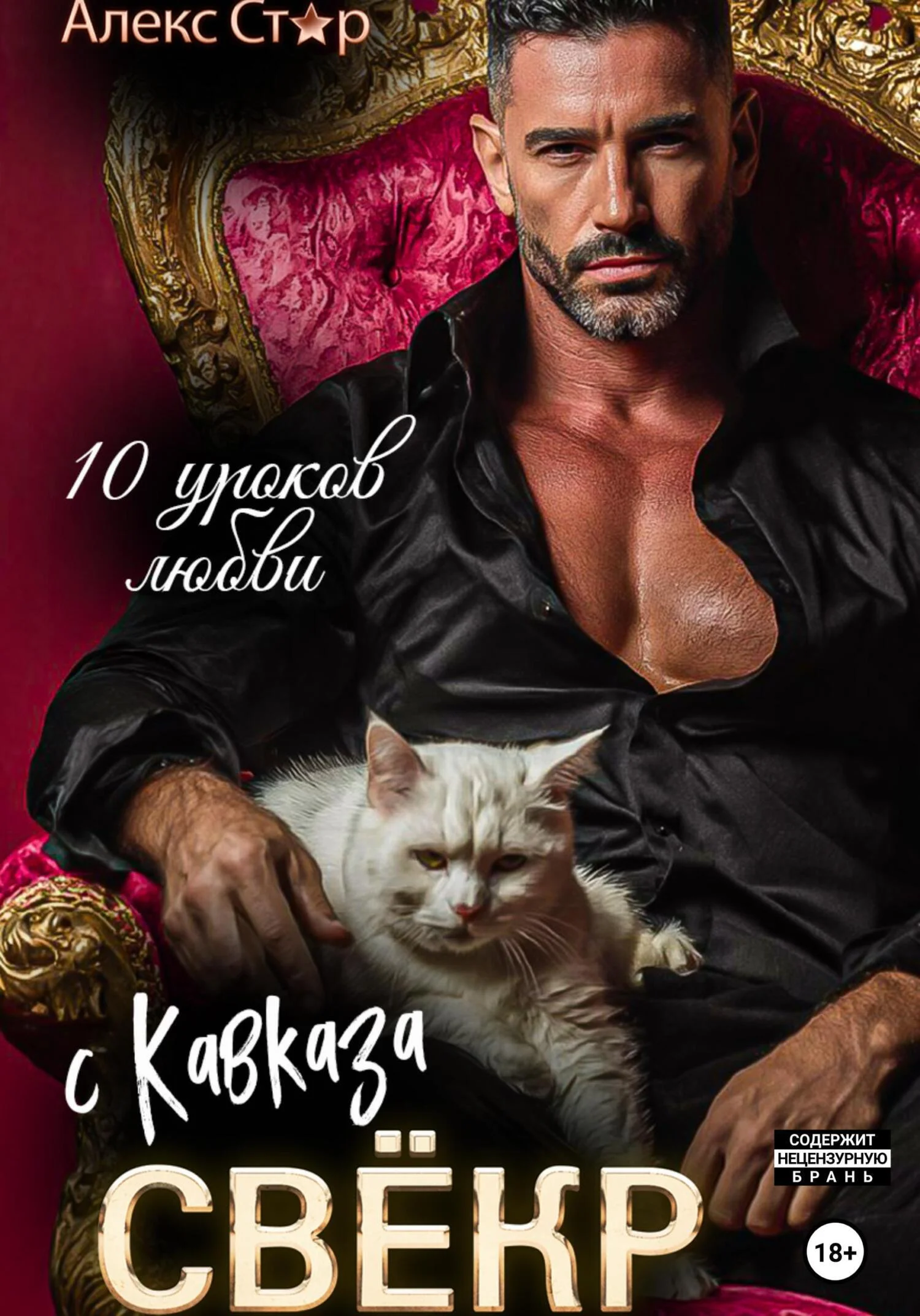 Обложка Свёкр с Кавказа. Десять уроков любви