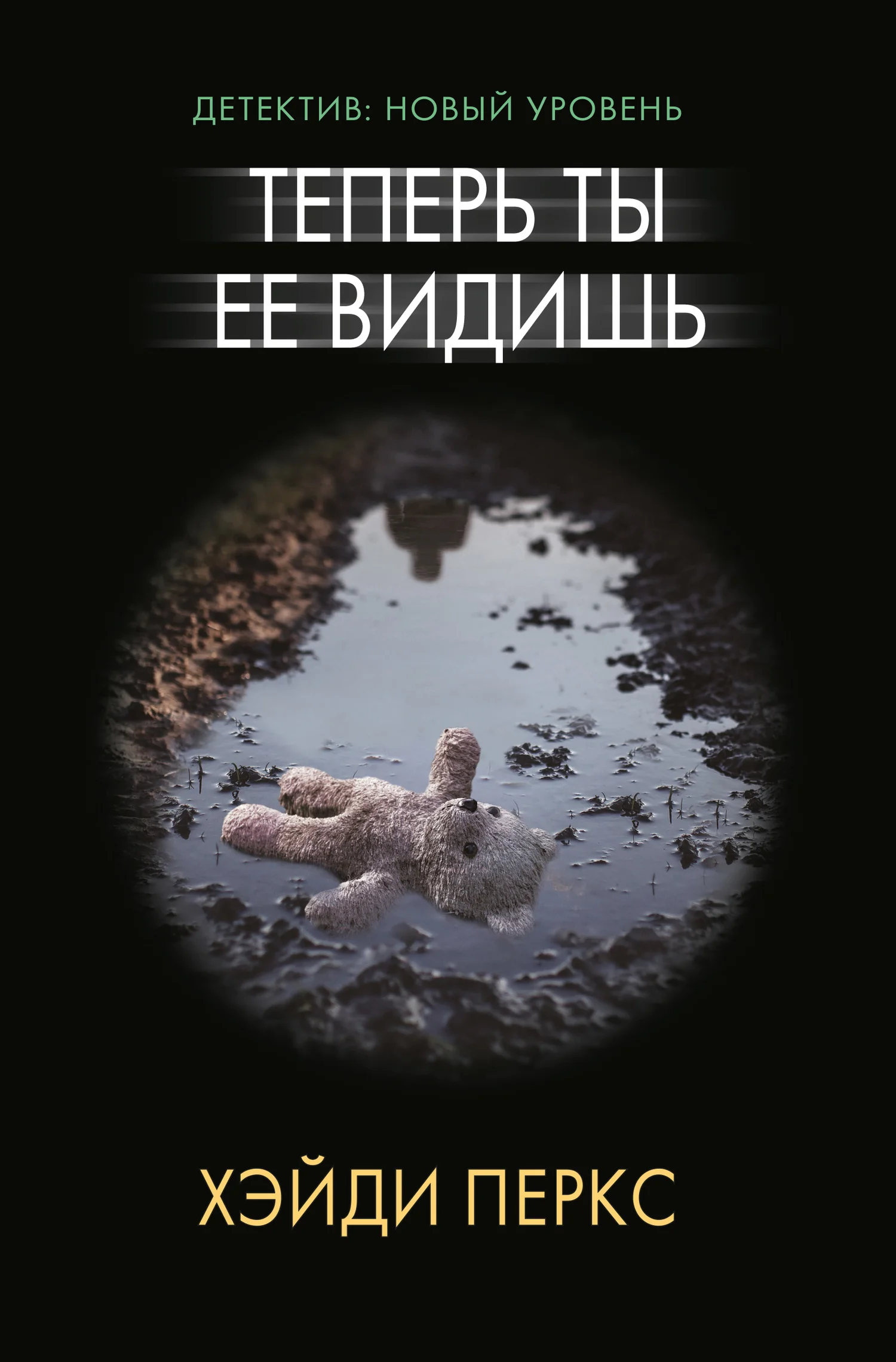 Обложка Теперь ты ее видишь