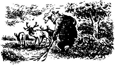 Обложка Как медведь оленеводом был