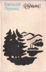 Обложка Старая ведьма