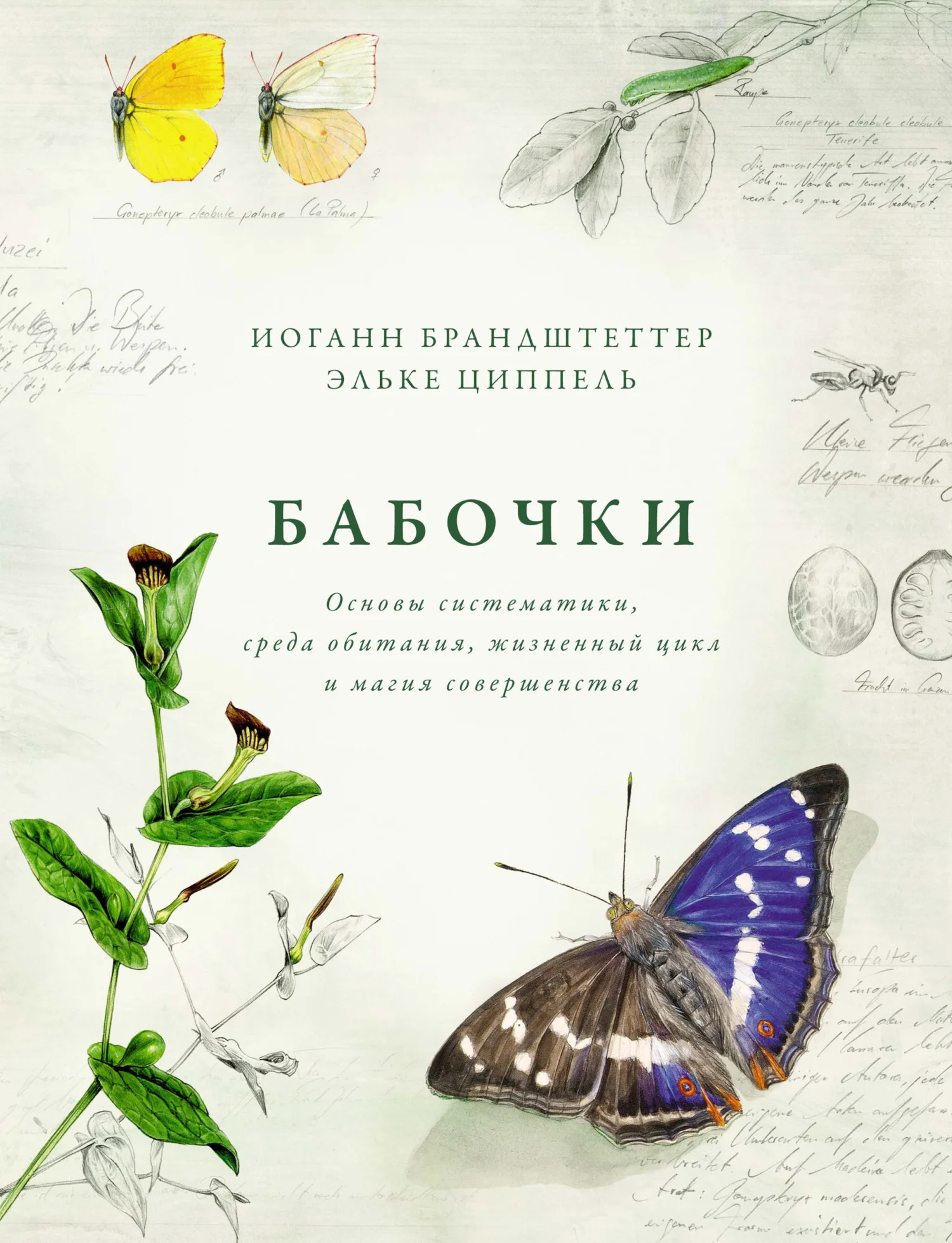 Обложка Бабочки. Основы систематики, среда обитания, жизненный цикл и магия совершенства