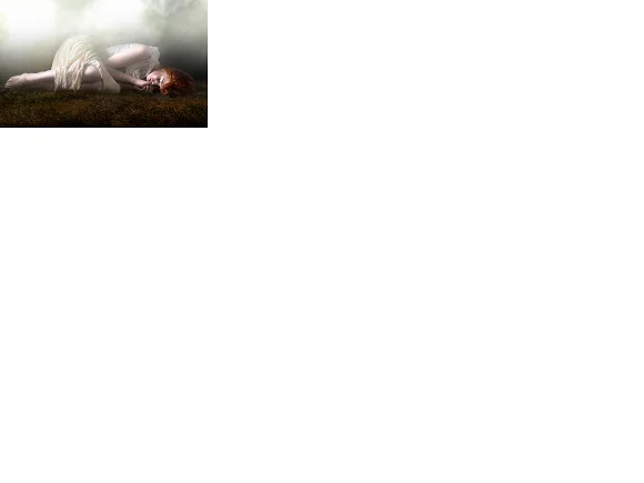 Обложка Дорога во сне