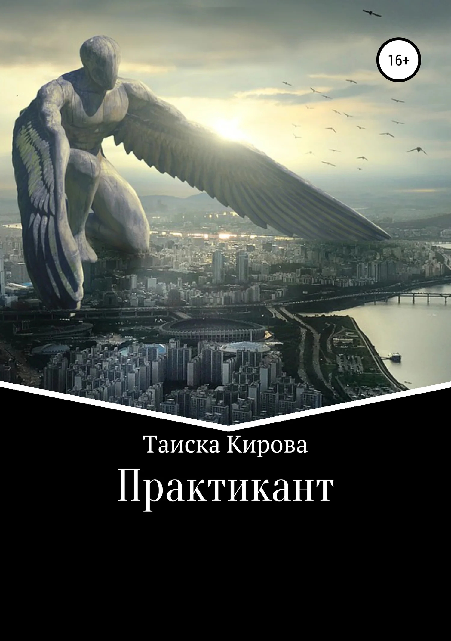 Обложка Практикант
