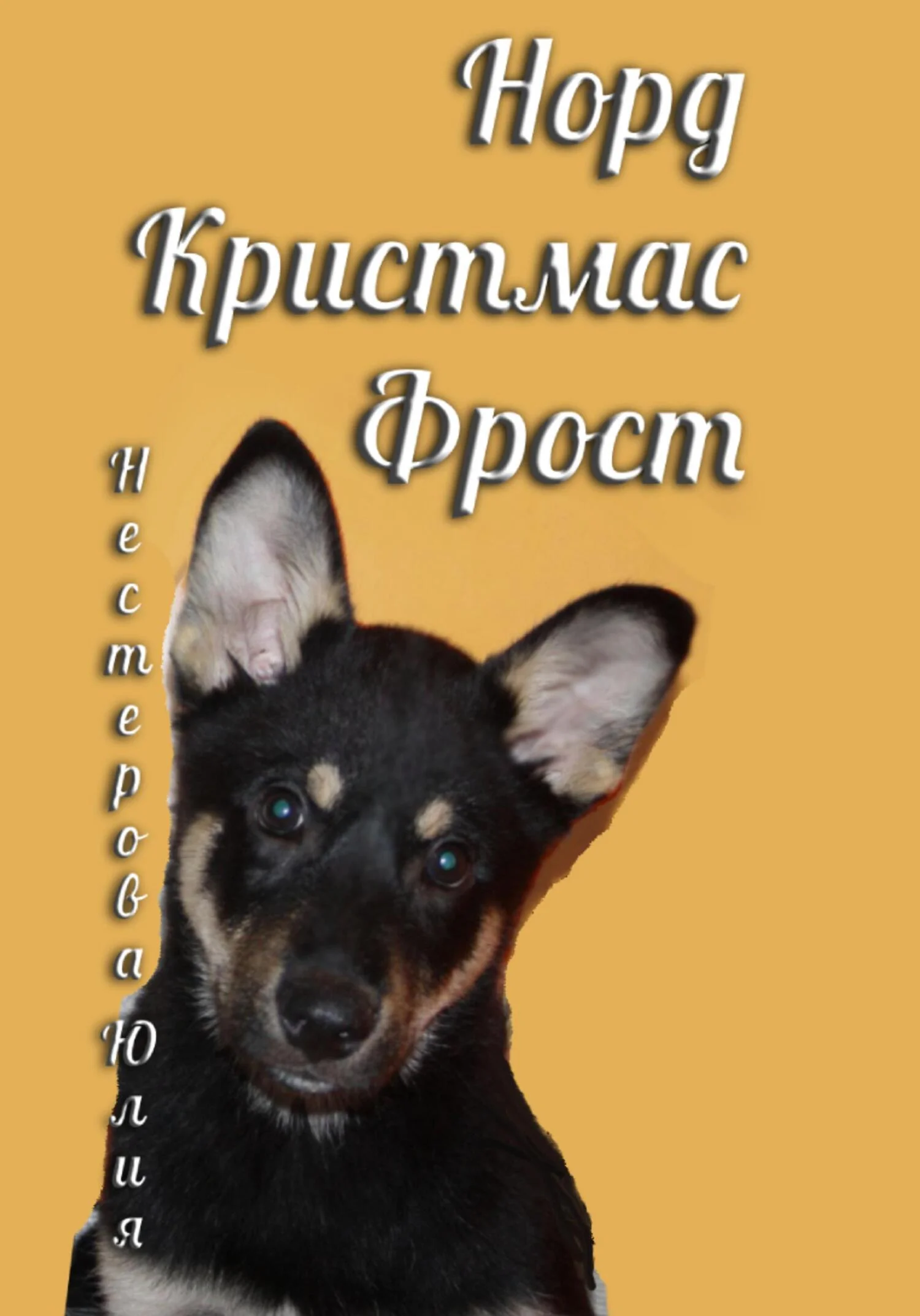 Обложка Норд Крисмас Фрост