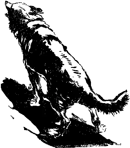 Обложка Уравнение с тремя неизвестными