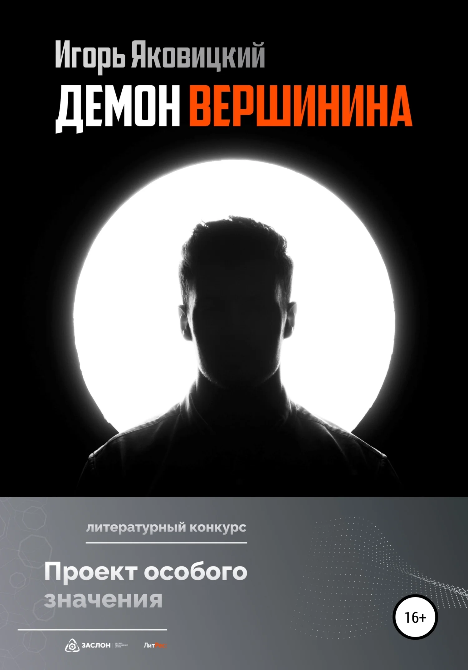 Обложка Демон Вершинина