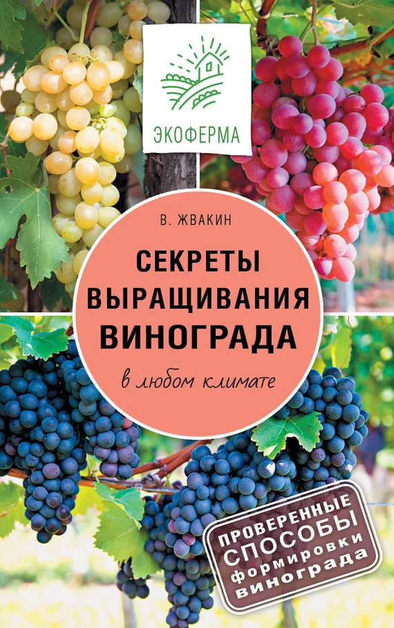 Обложка Секреты выращивания винограда в любом климате. Проверенные способы формировки винограда