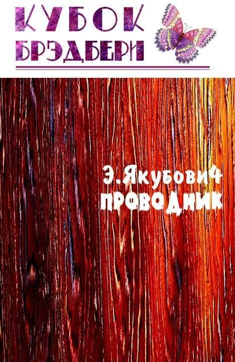 Обложка Проводник