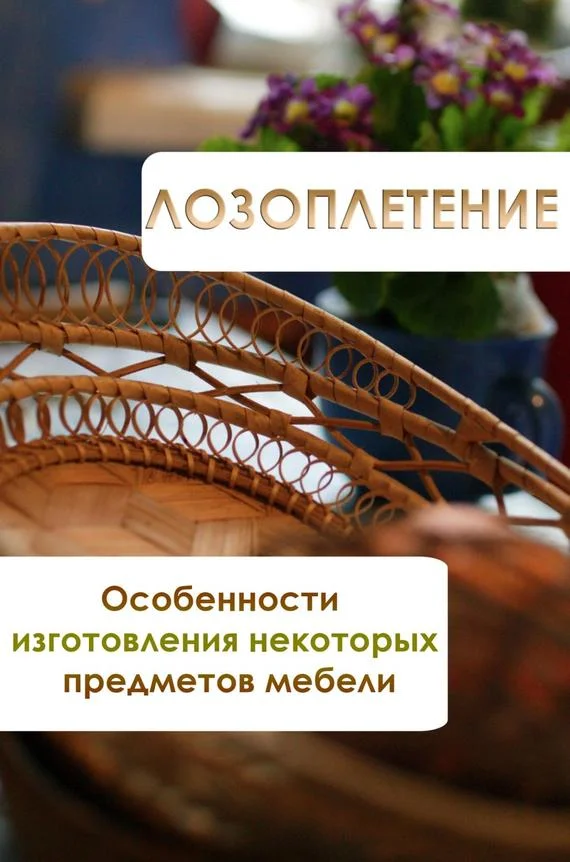 Обложка Особенности изготовления некоторых предметов мебели