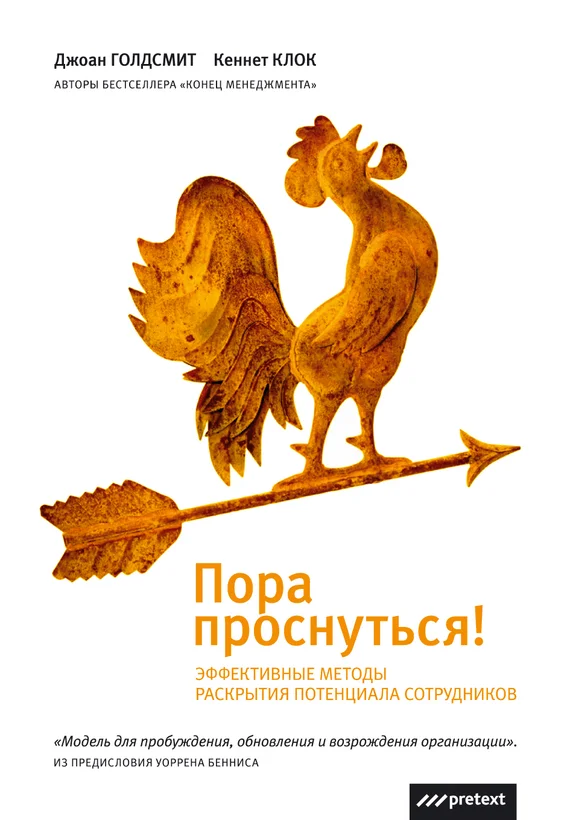 Обложка Пора проснуться
