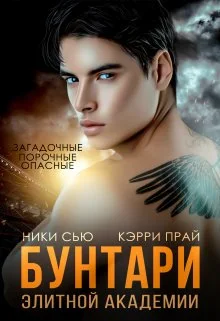 Обложка Бунтари элитной академии