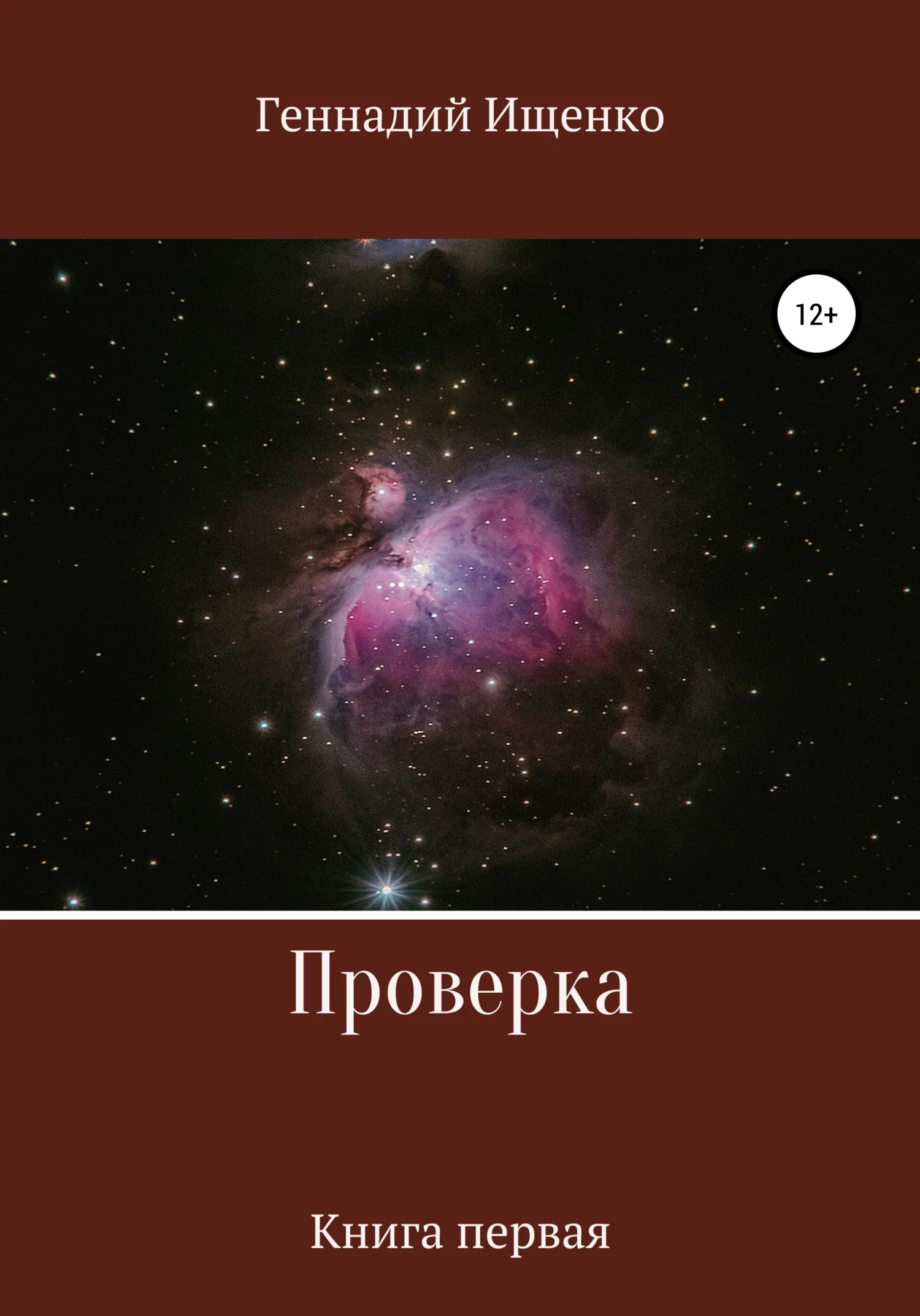 Обложка Проверка. Книга первая