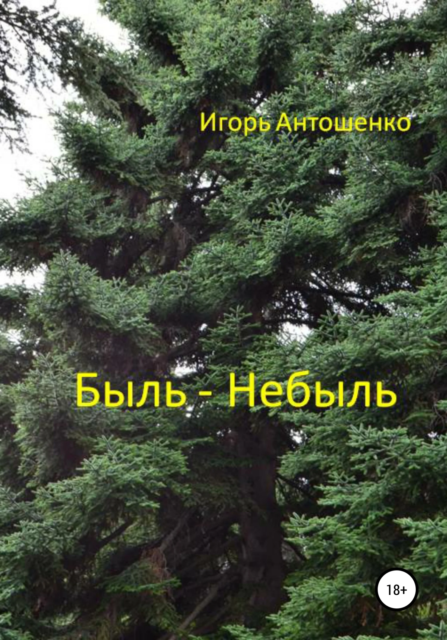 Обложка Быль – небыль