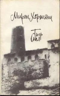 Обложка Тигр скал