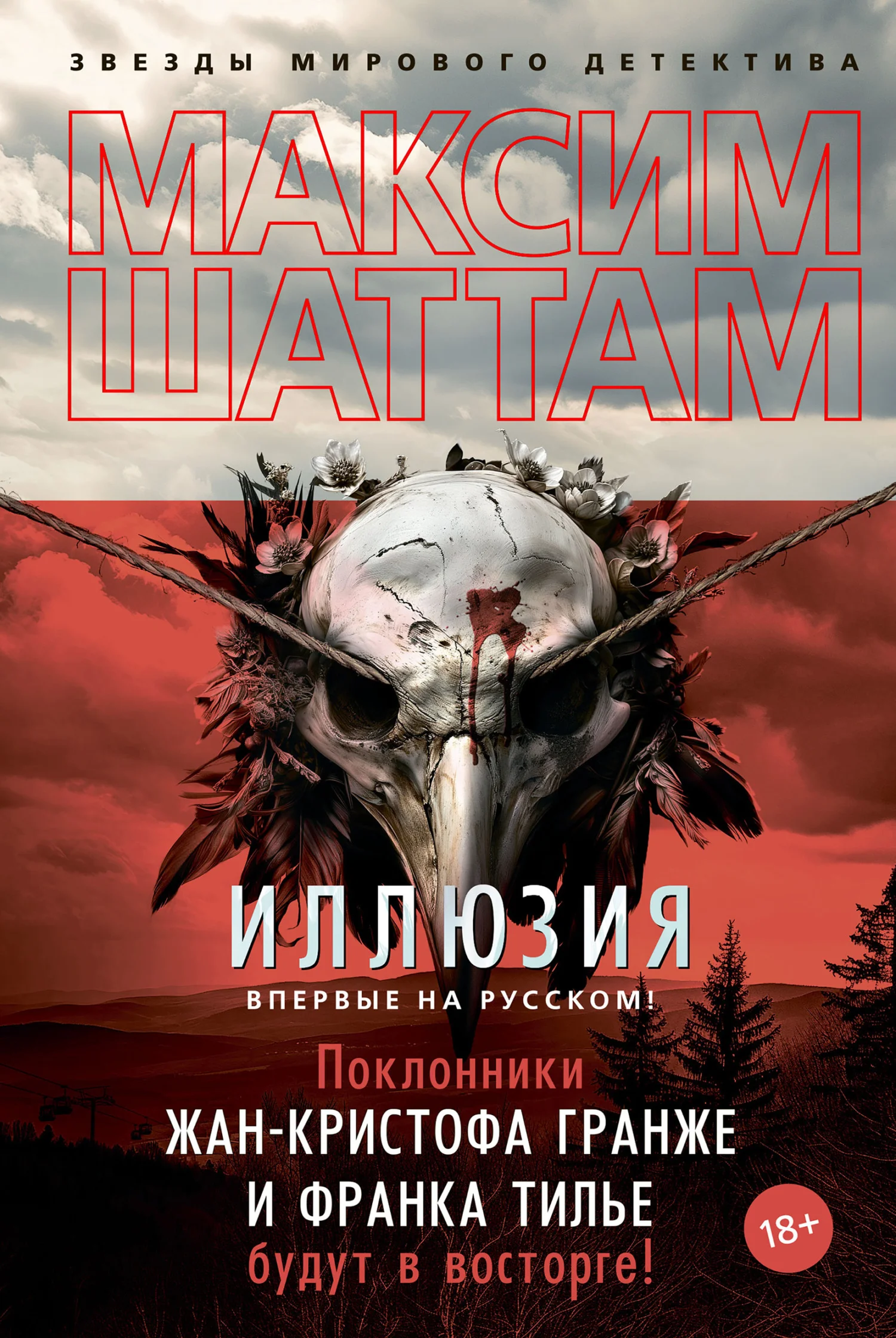 Обложка Иллюзия