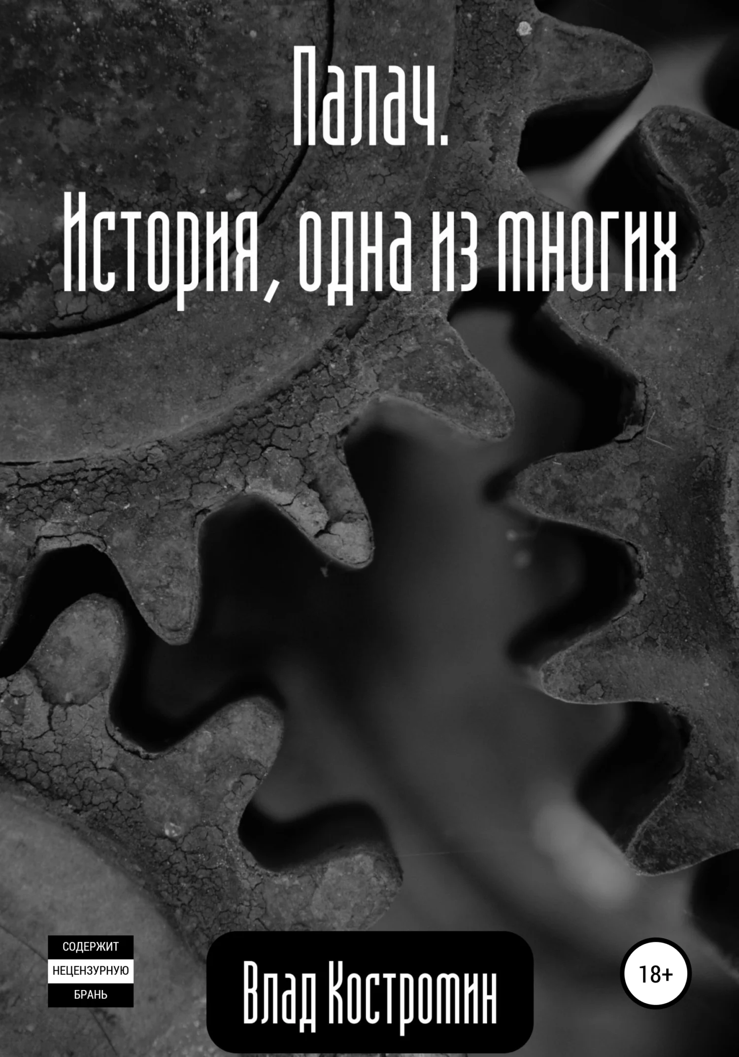 Обложка Палач. История, одна из многих