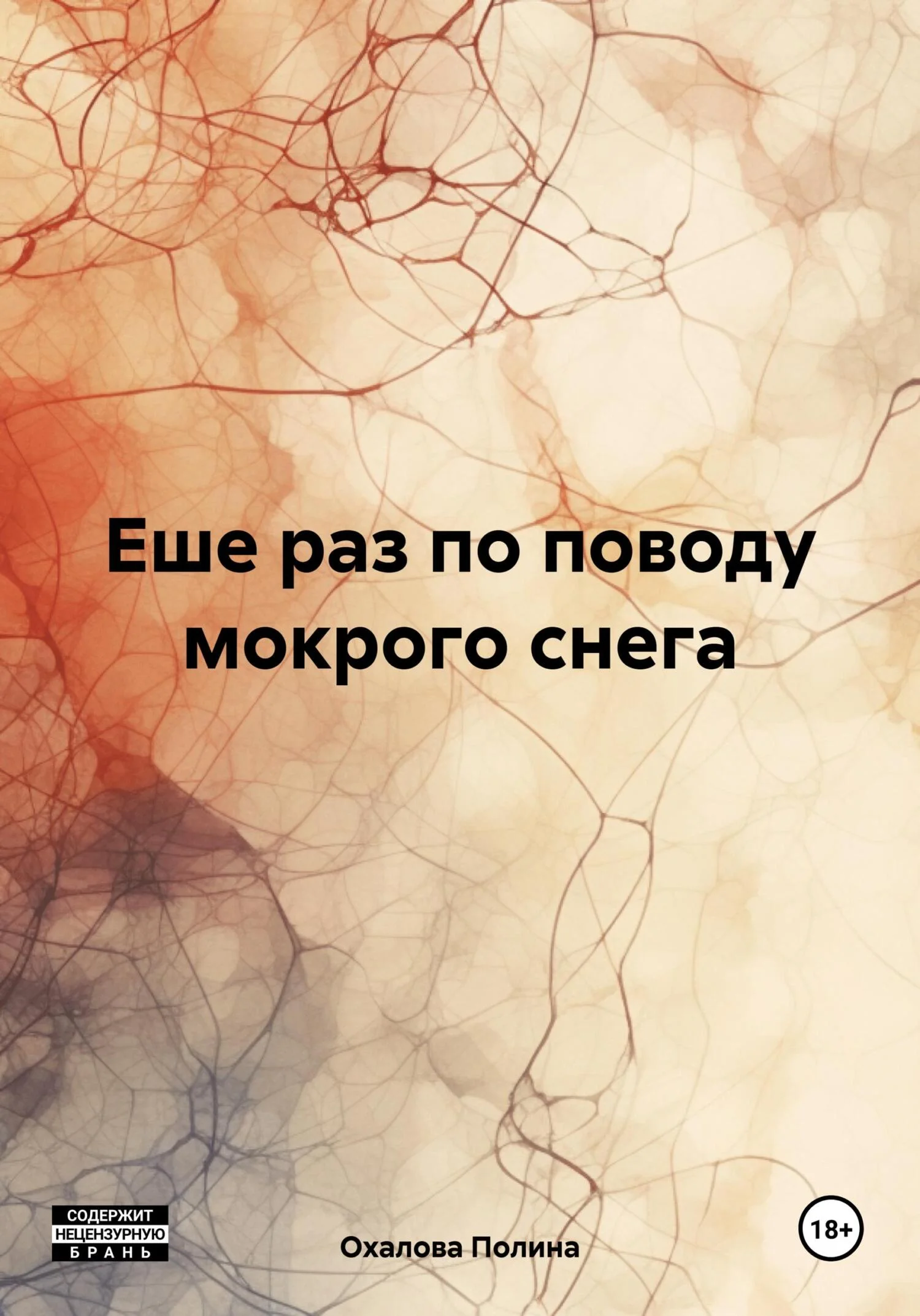 Обложка Еше раз по поводу мокрого снега