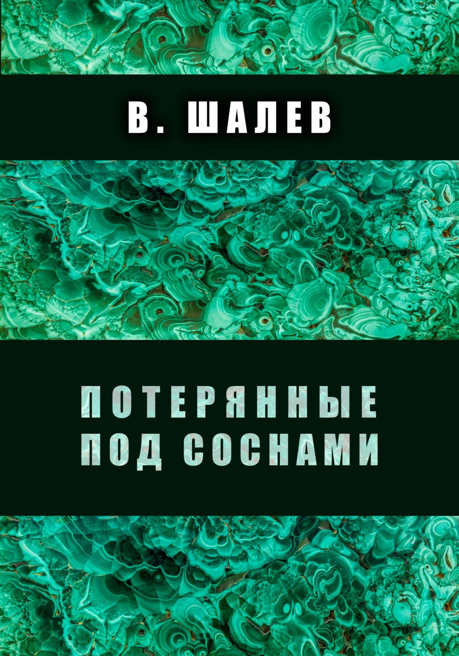 Обложка Потерянные под соснами