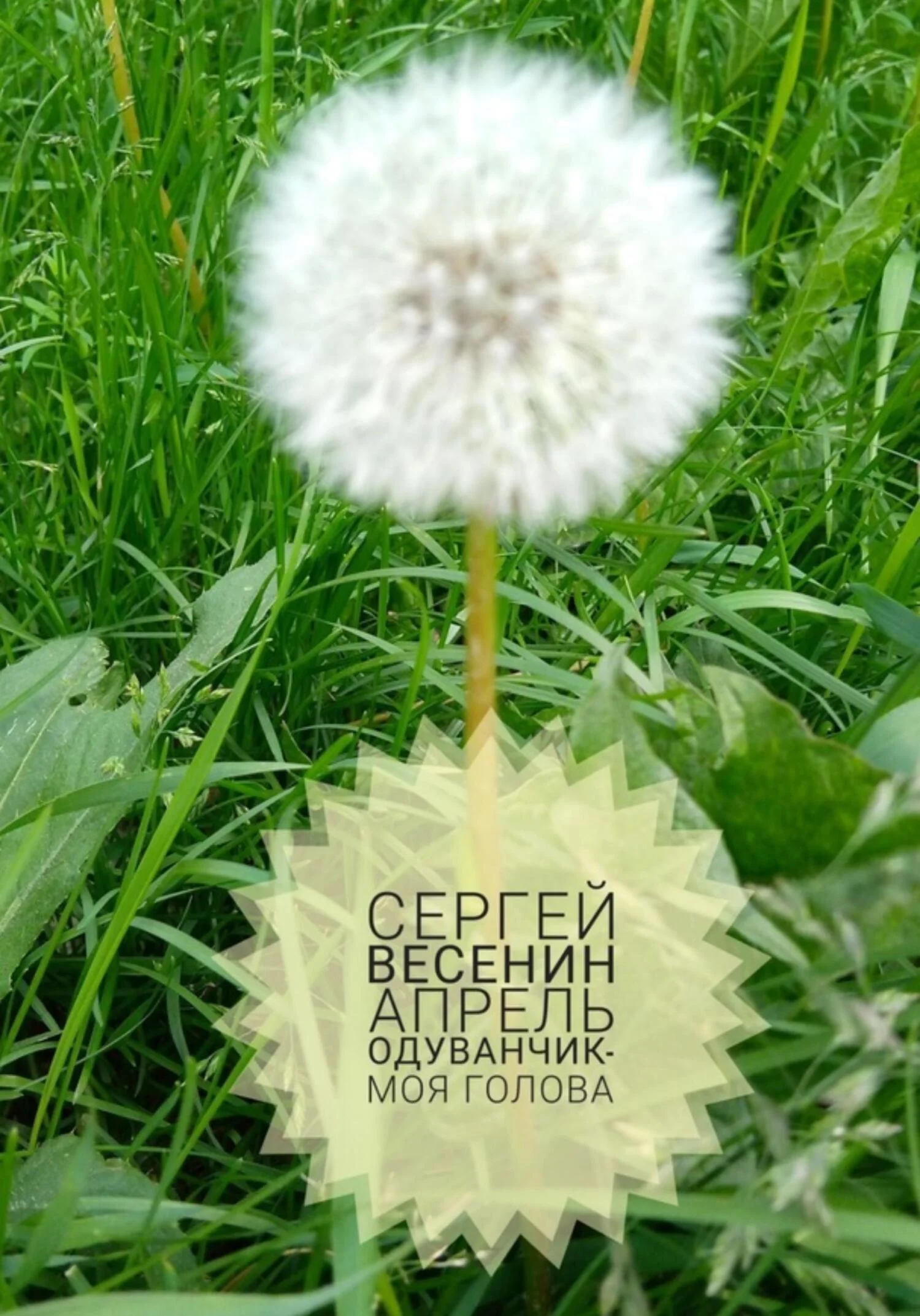 Обложка Апрель. Одуванчик – моя голова