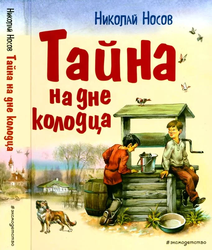 Обложка Тайна на дне колодца