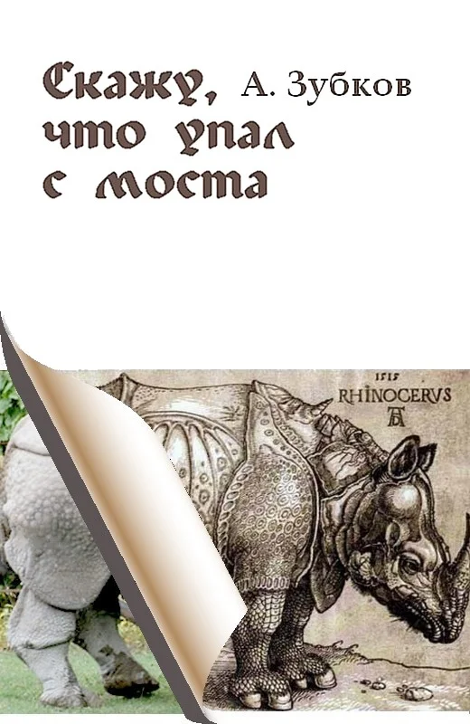 Обложка Скажу, что упал с моста