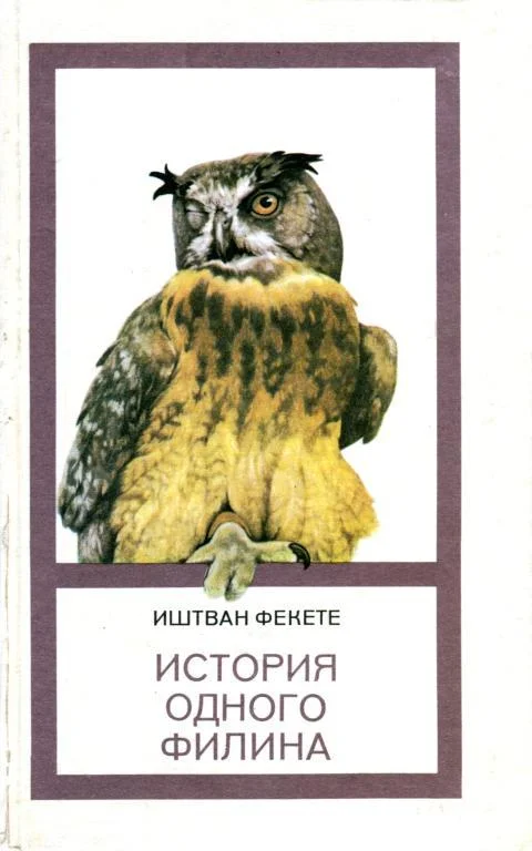 Обложка История одного филина