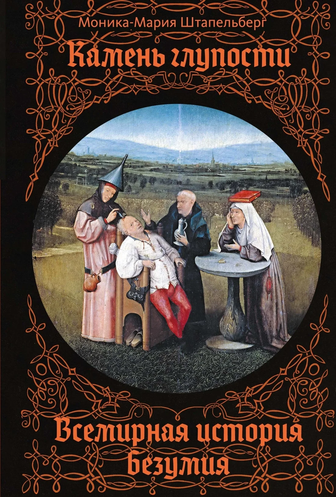 Обложка Камень глупости. Всемирная история безумия