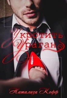 Обложка Укротить Ураган