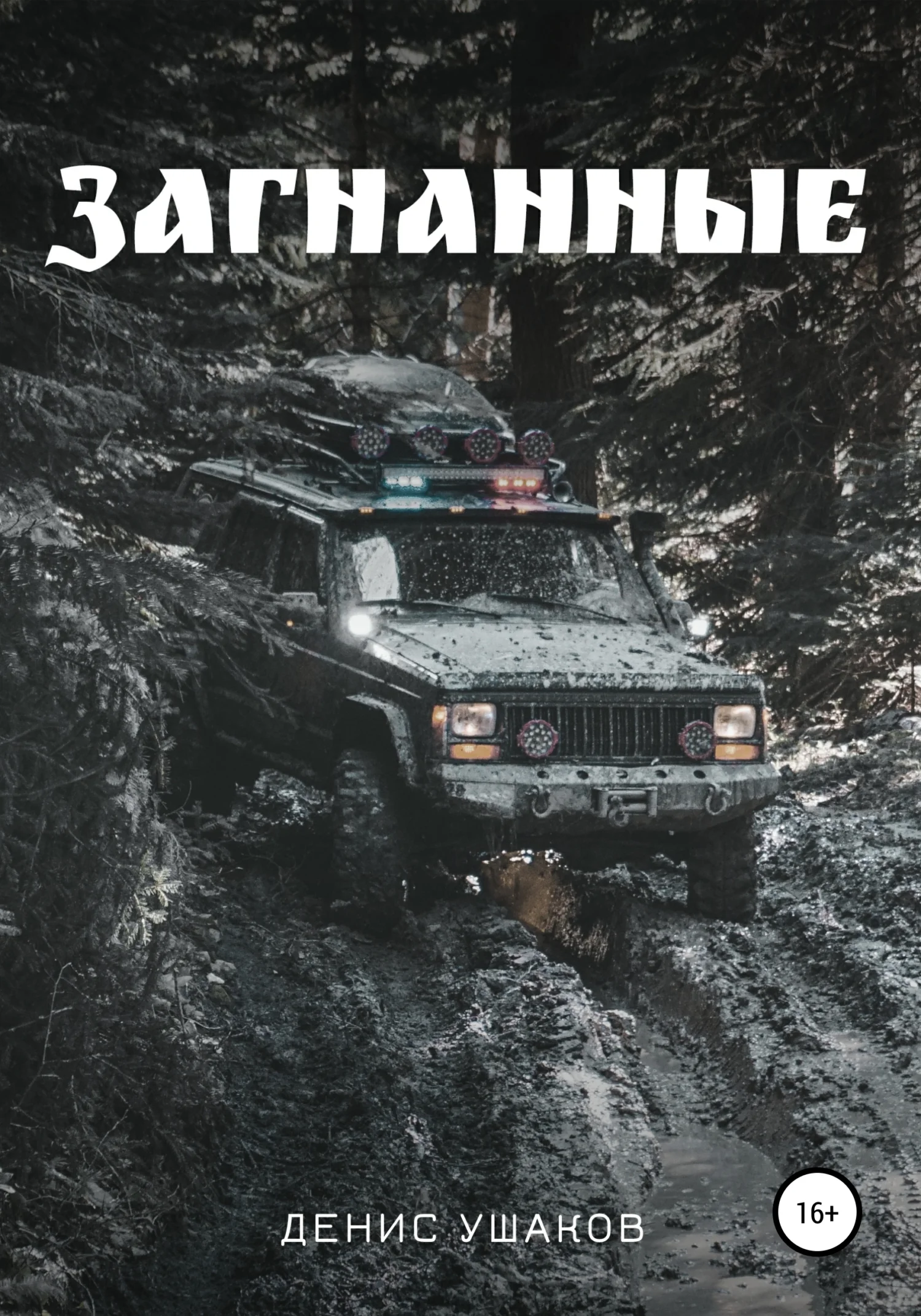 Обложка Загнанные