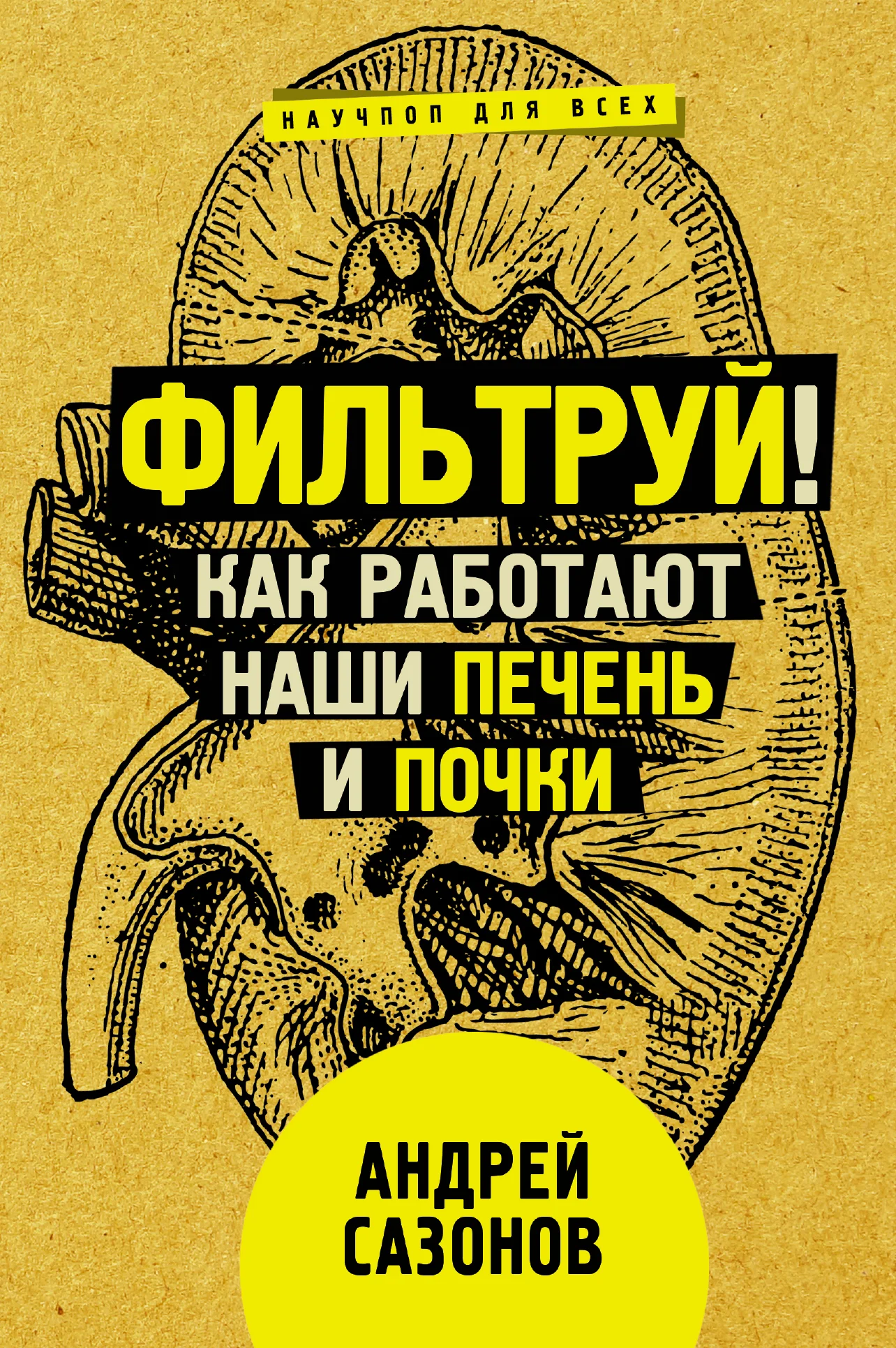 Обложка Фильтруй! Как работают наши печень и почки