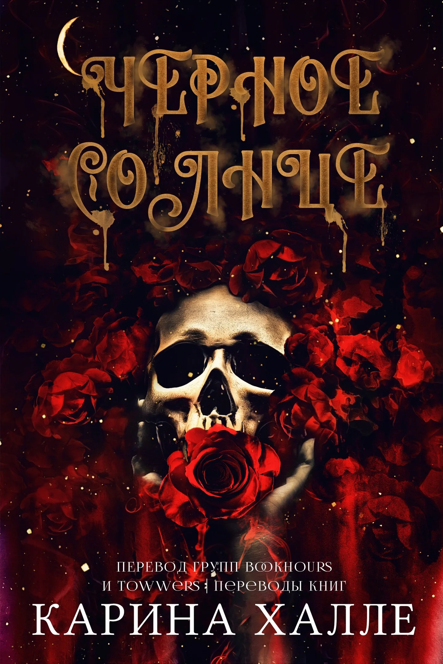 Обложка Черное солнце