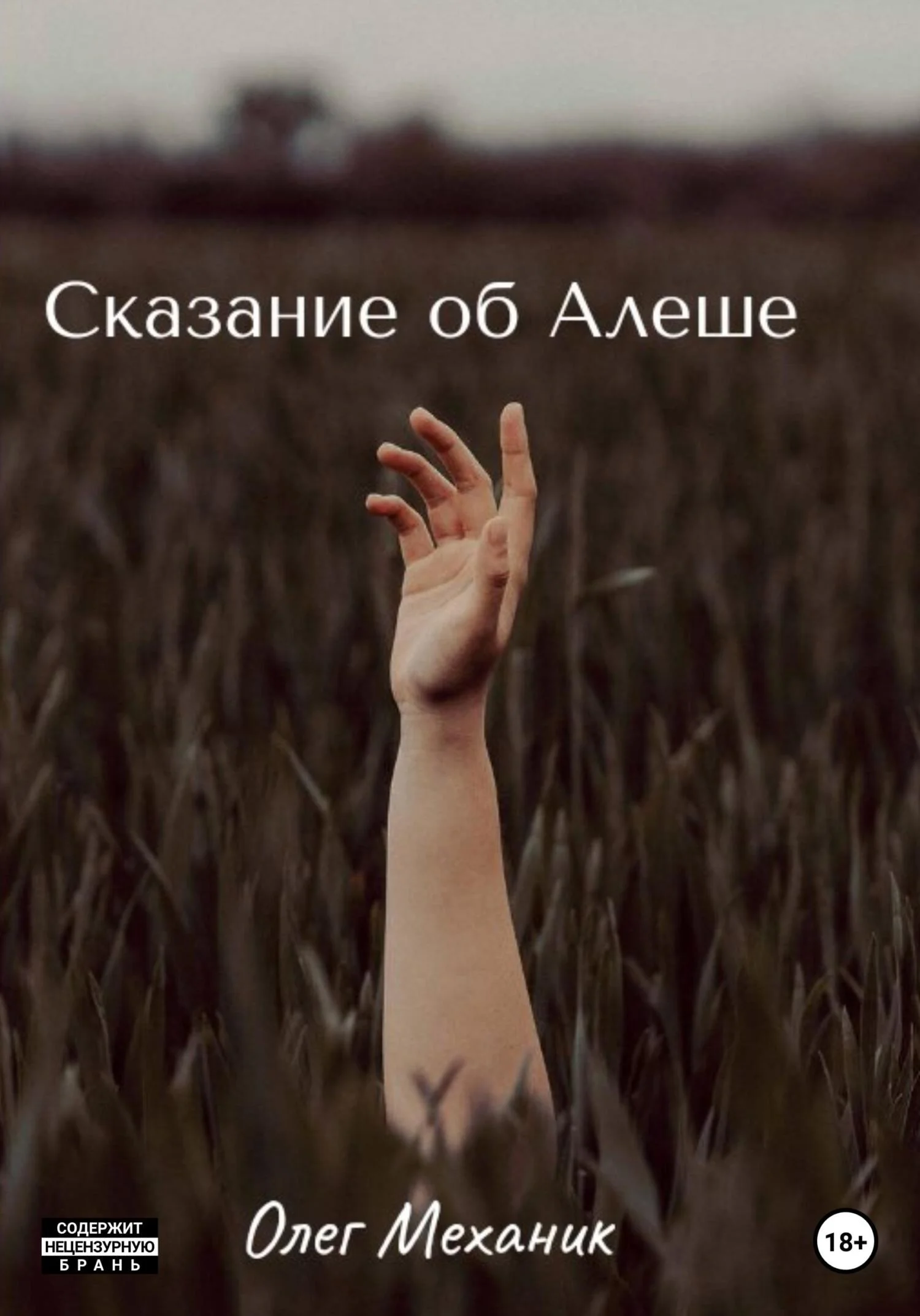 Обложка Сказание об Алёше