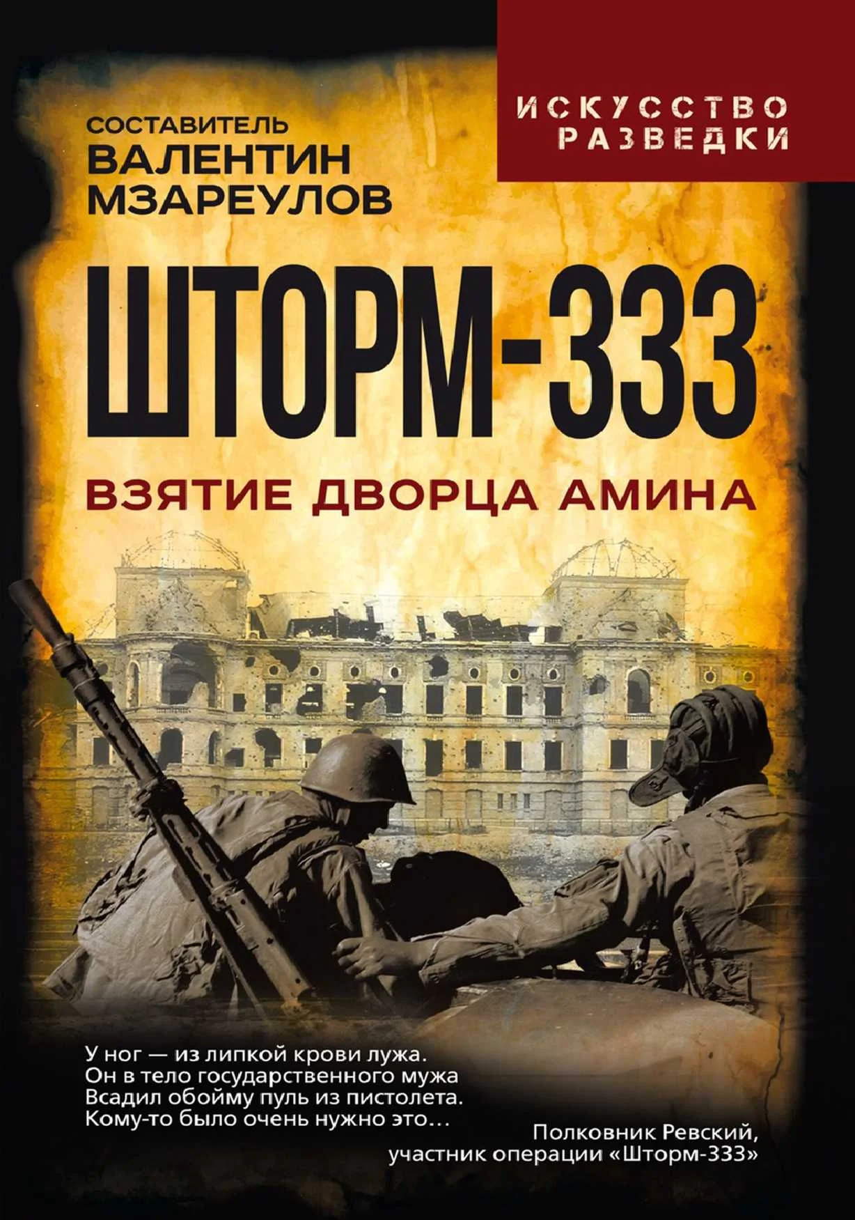 Обложка Шторм-333. Взятие дворца Амина