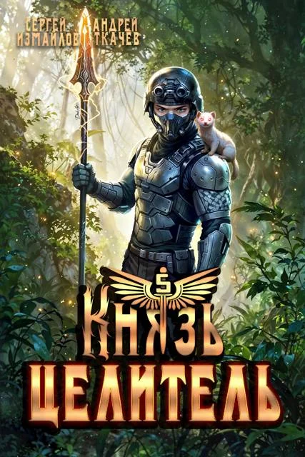 Обложка Князь Целитель 5