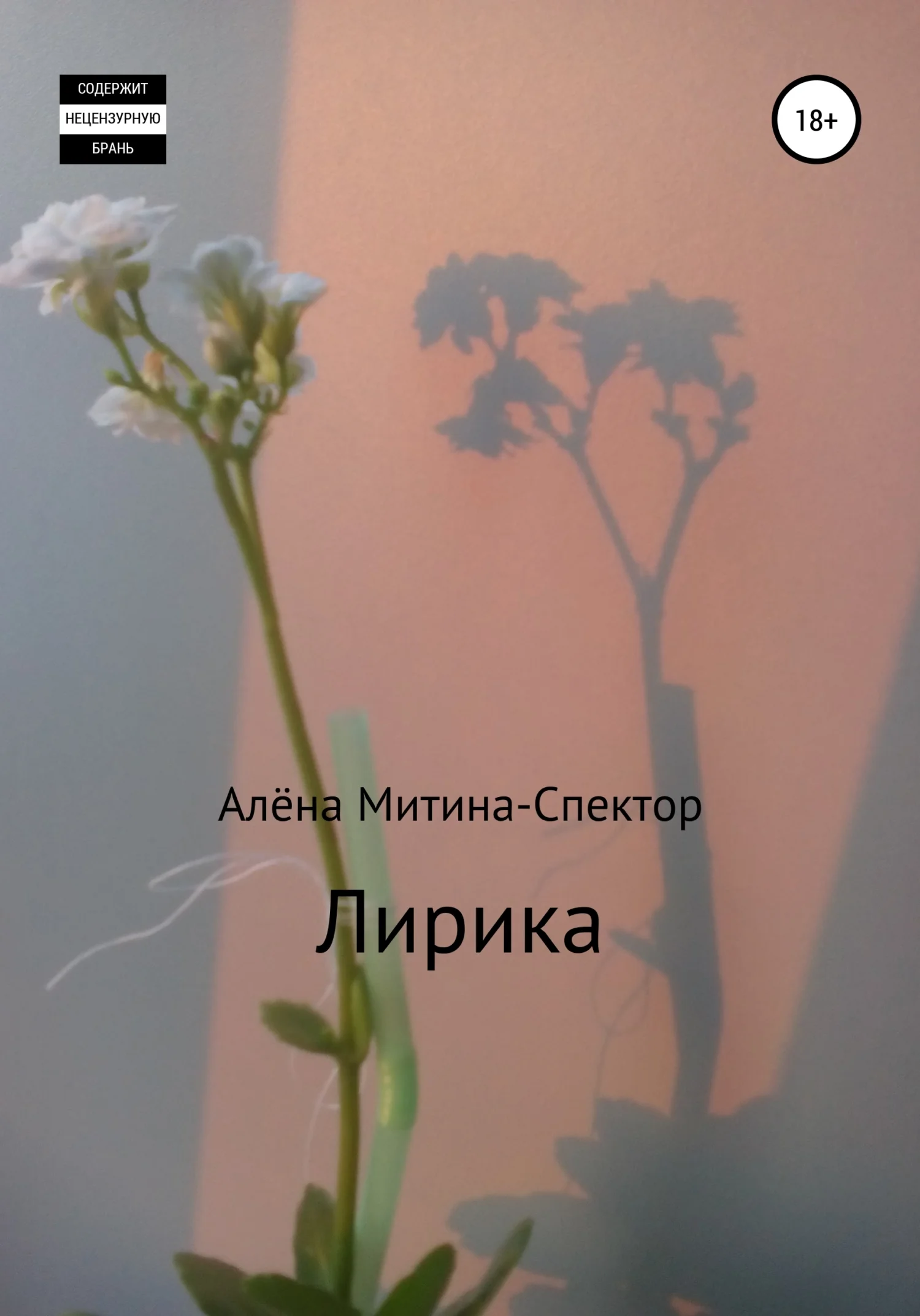 Обложка Лирика