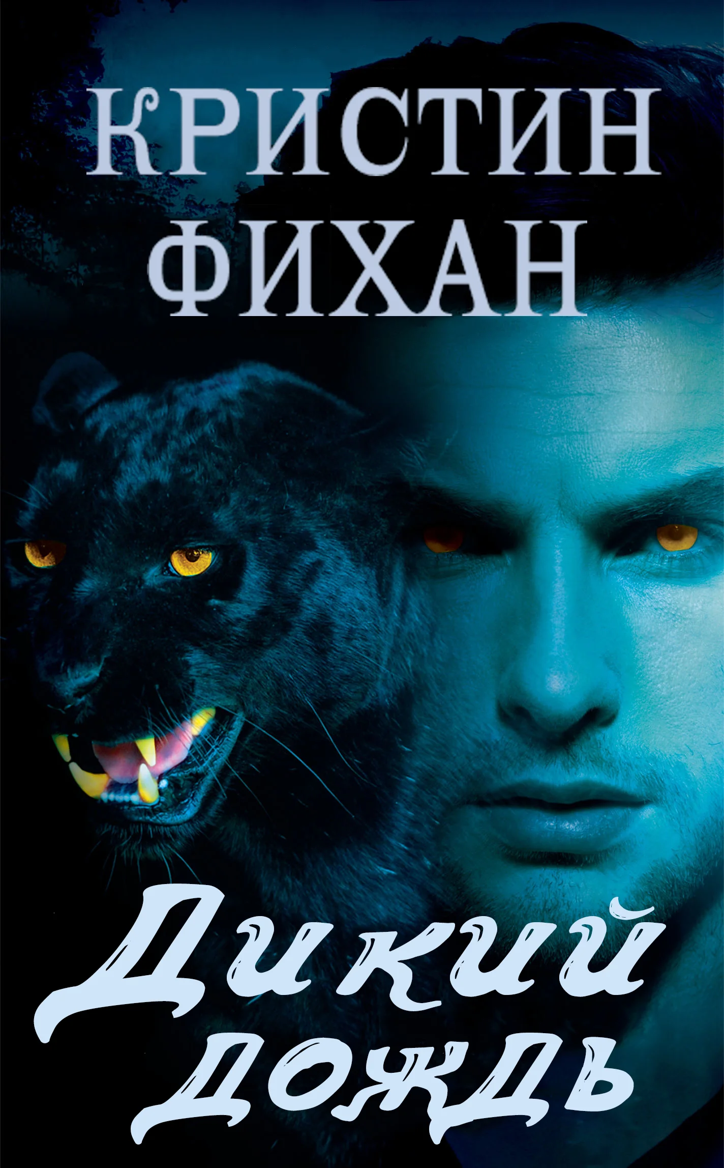 Обложка Дикий дождь