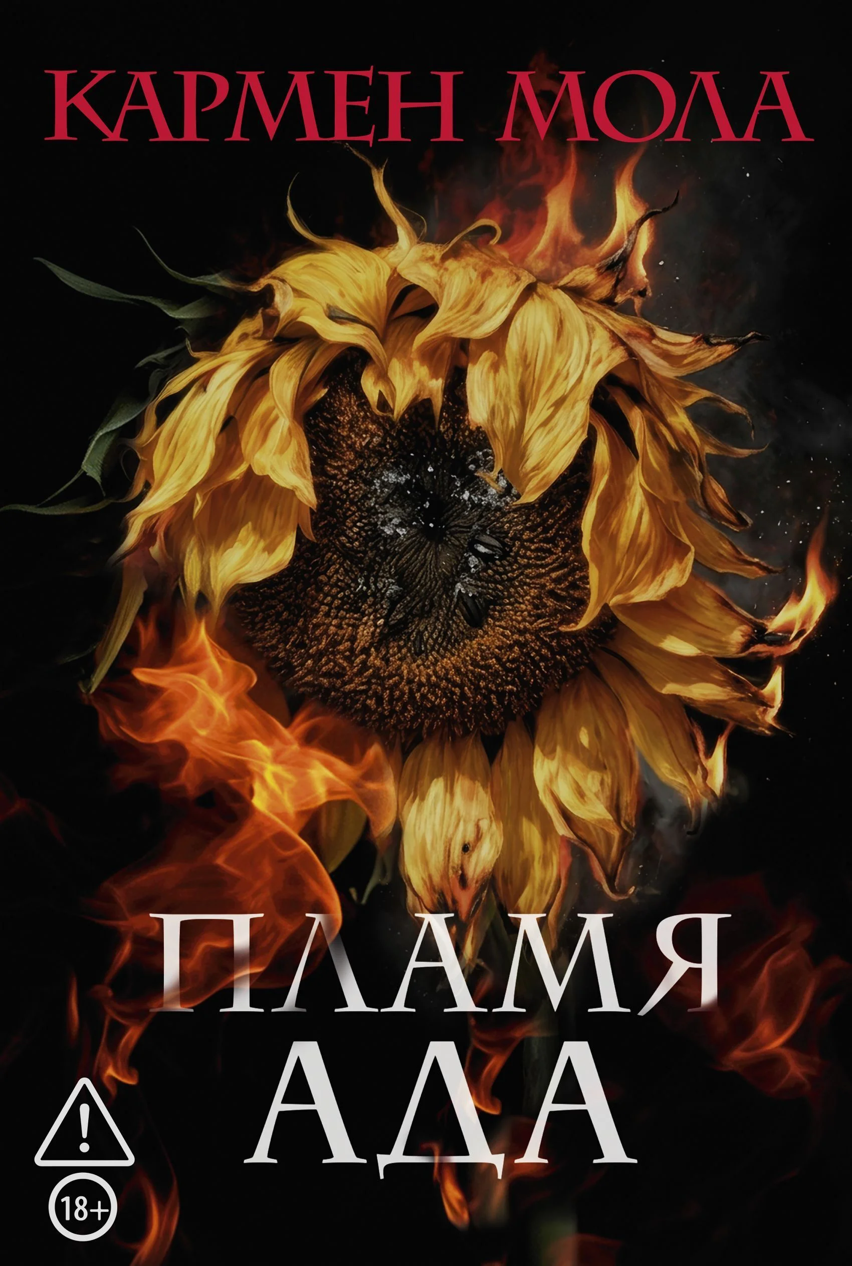 Обложка Пламя ада