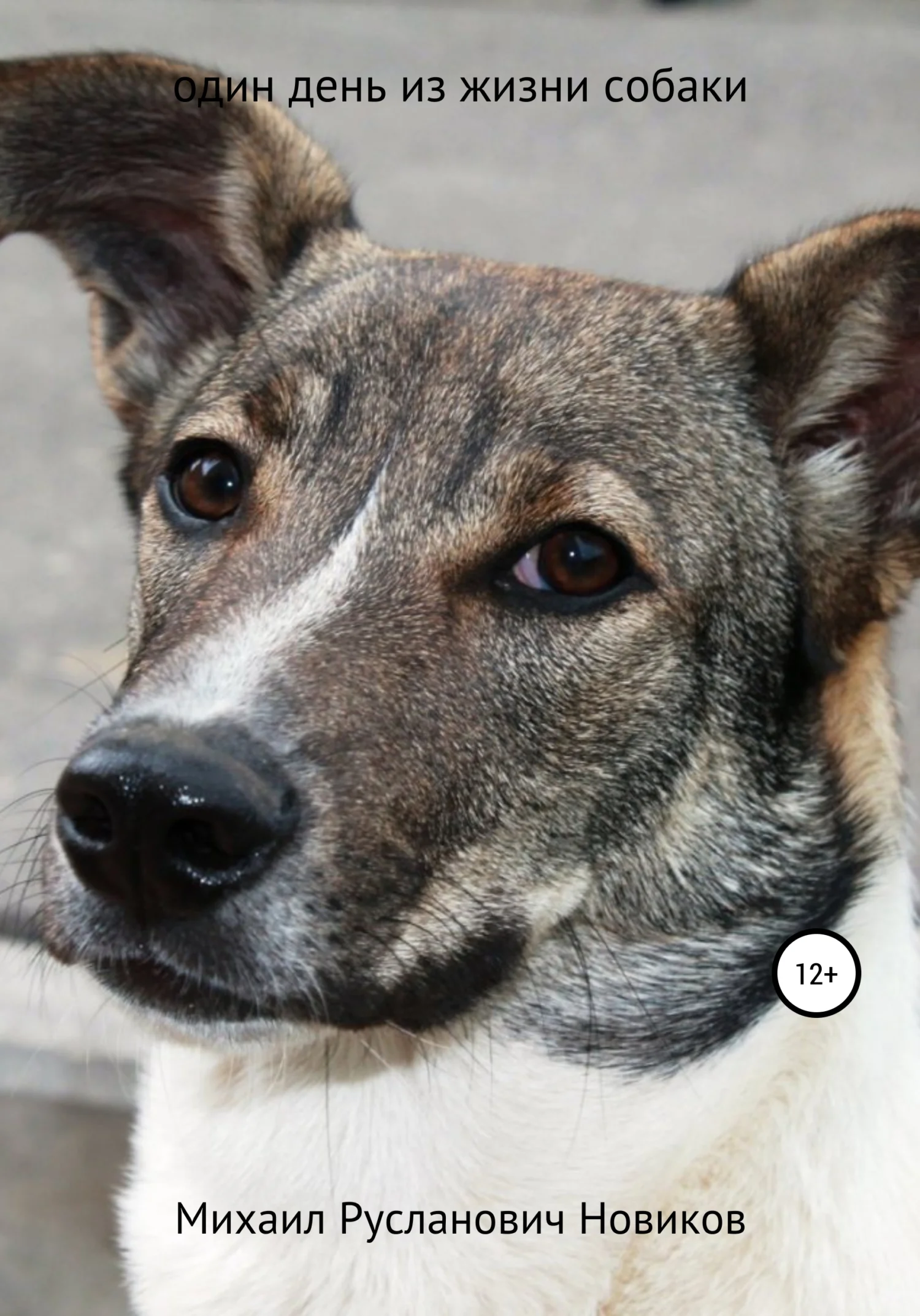 Обложка Один день из жизни собаки