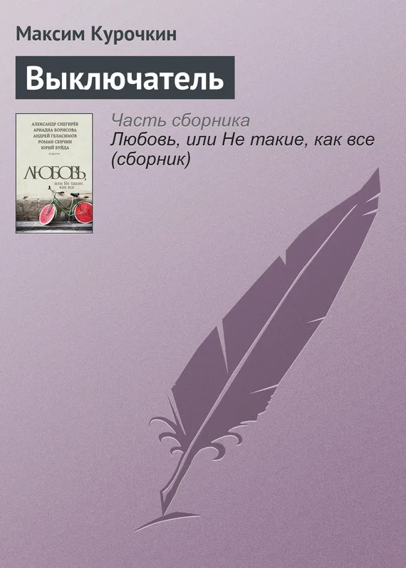Обложка Выключатель