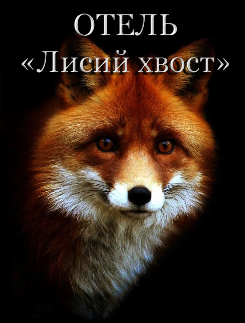 Обложка Отель «Лисий хвост»