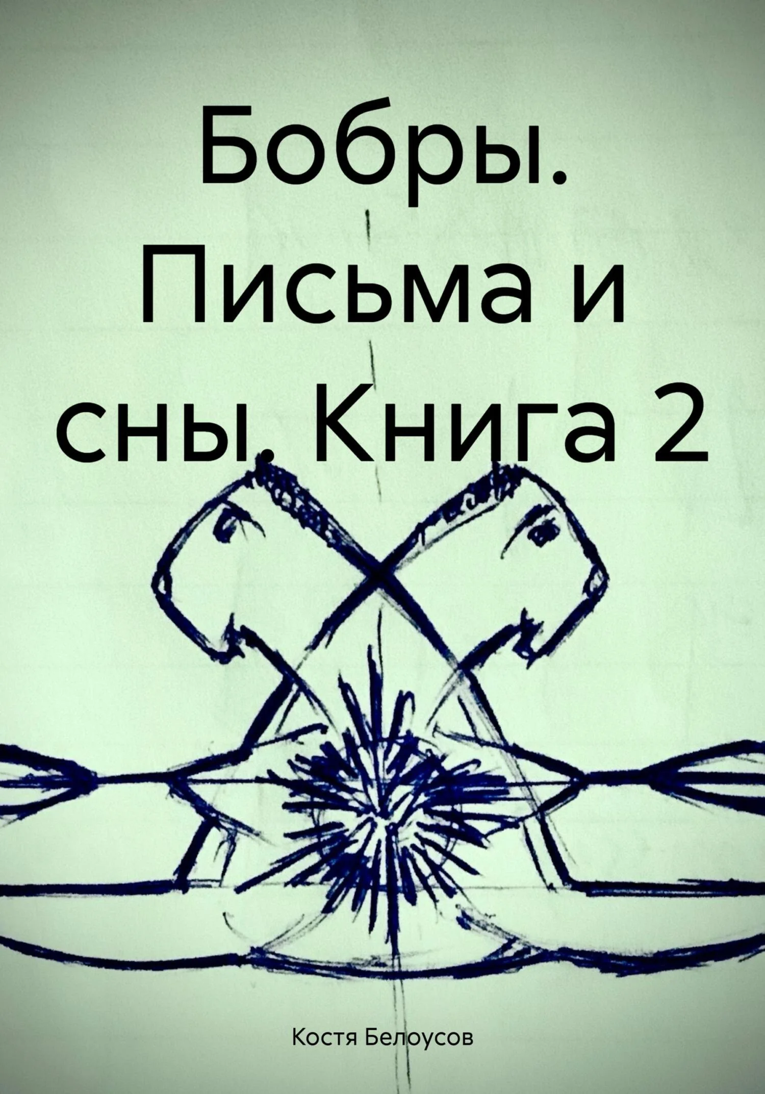 Обложка Бобры. Письма и сны. Книга 2