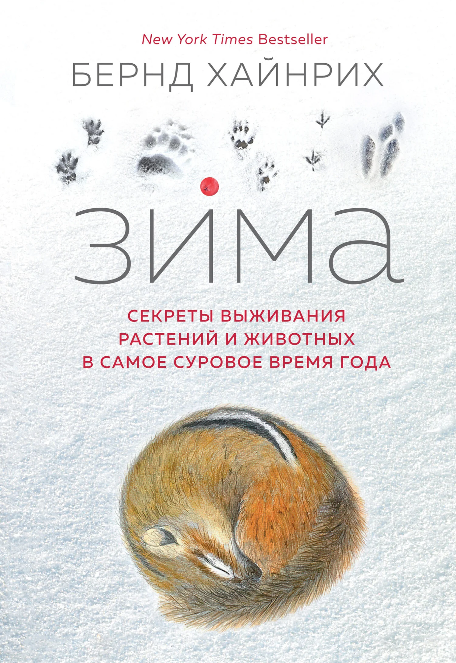 Обложка Зима. Секреты выживания растений и животных в самое суровое время года