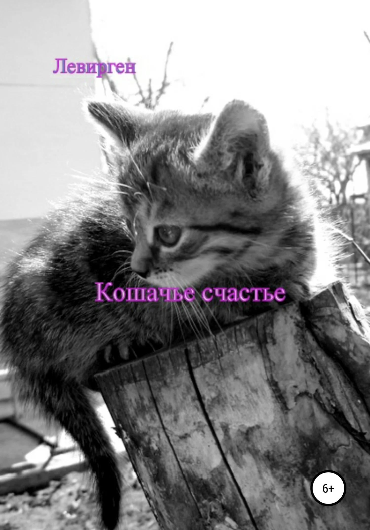 Обложка Кошачье счастье