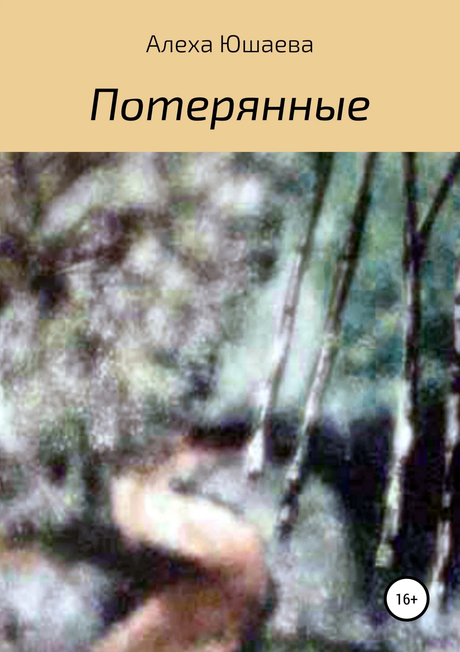 Обложка Потерянные