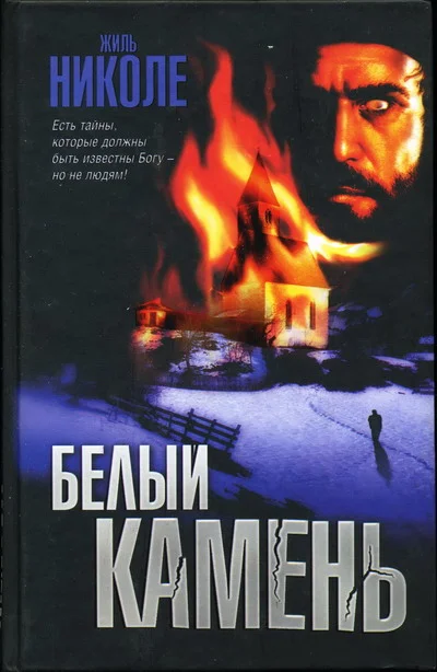 Обложка Белый камень