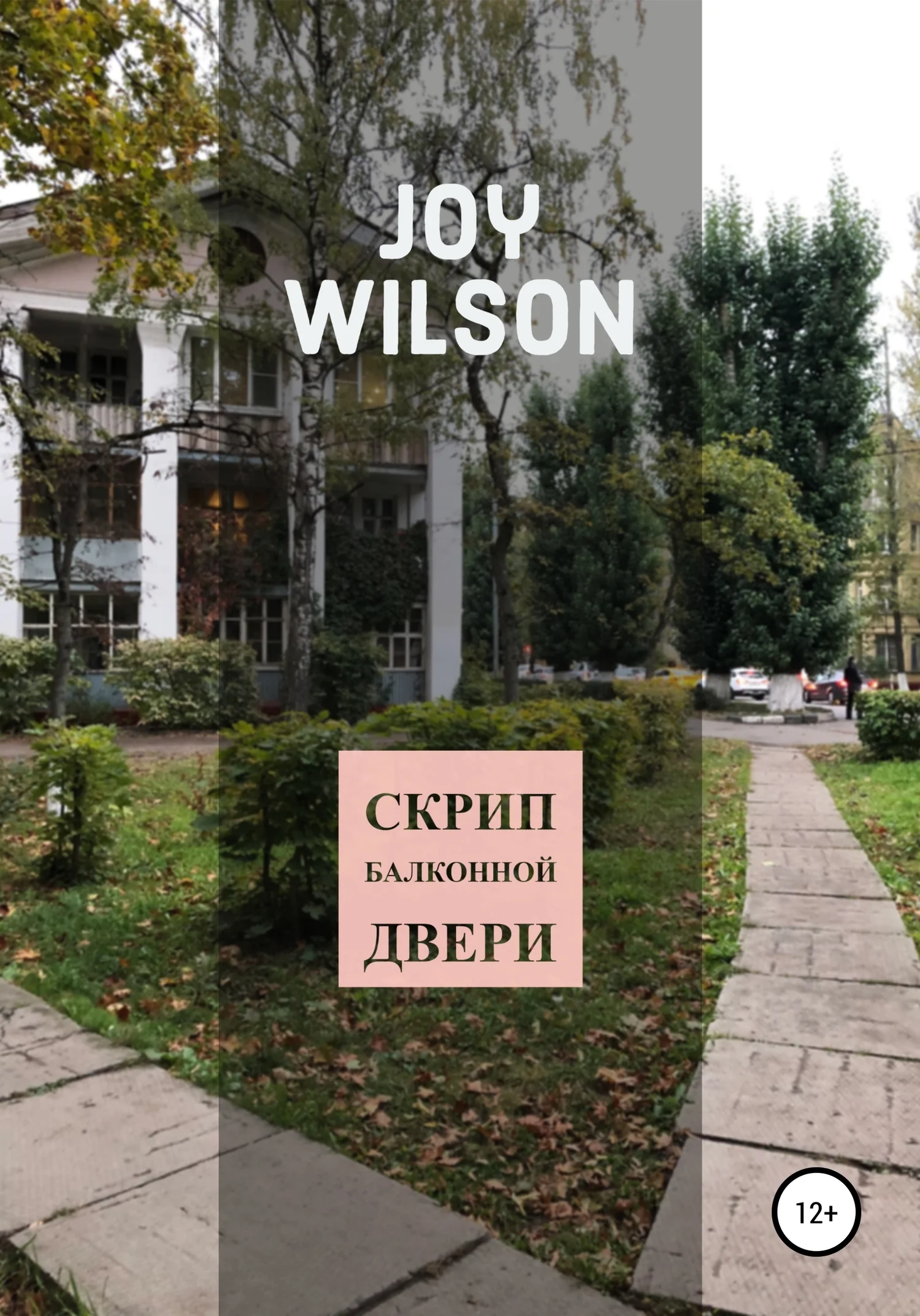 Обложка Скрип балконной двери
