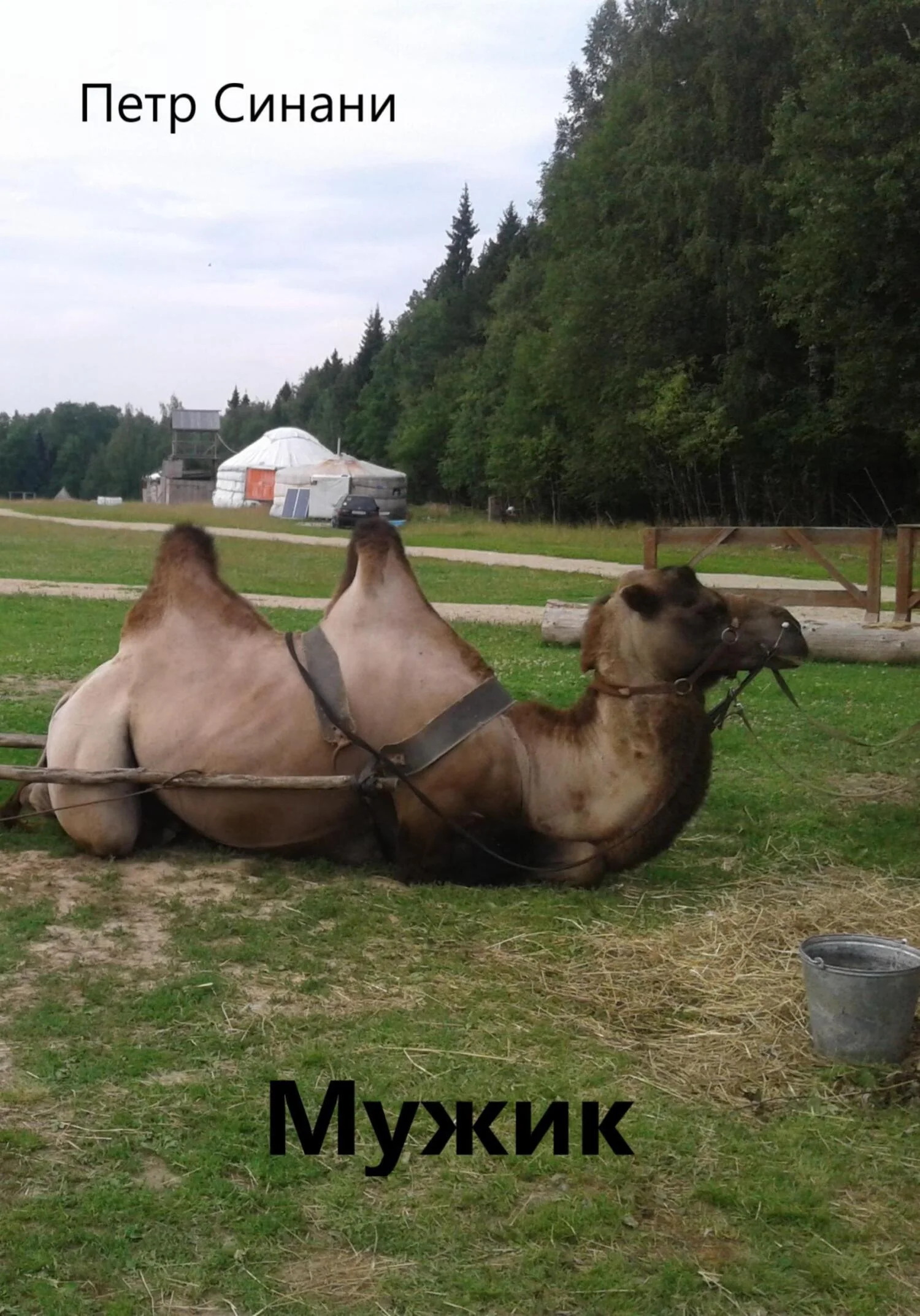 Обложка Мужик