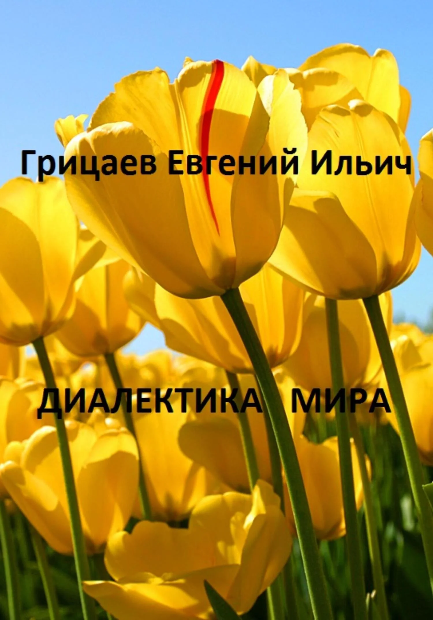 Обложка Диалектика мира