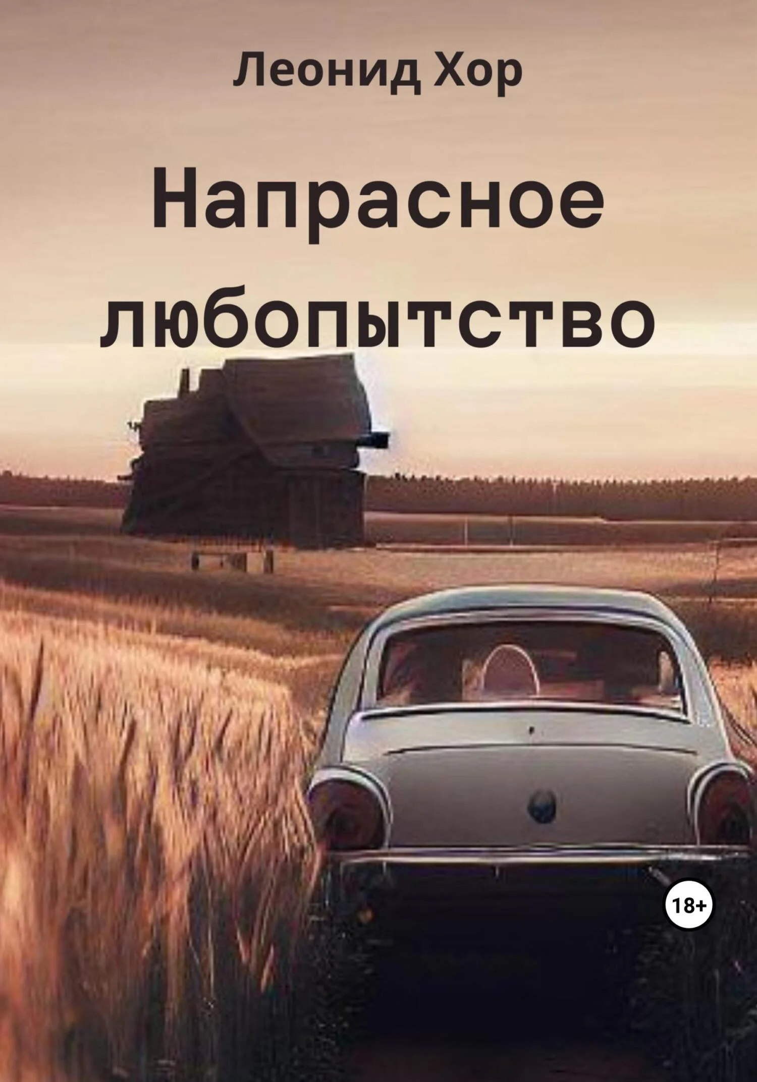 Обложка Напрасное любопытство