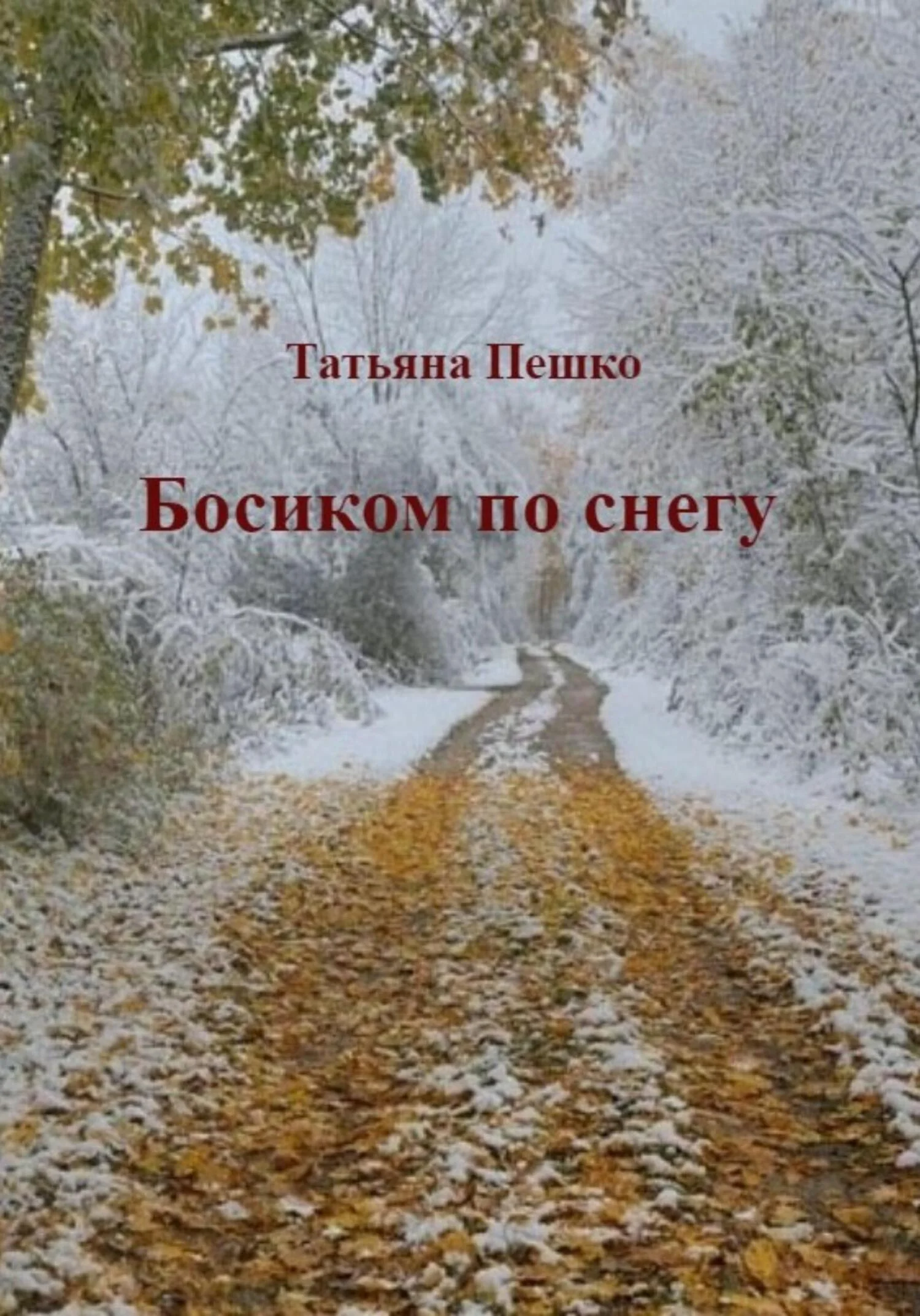Обложка Босиком по снегу